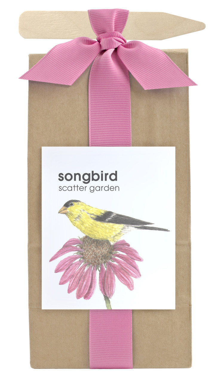 Potting Shed Creations Scatter Garden Songbird - Thumbnail 3