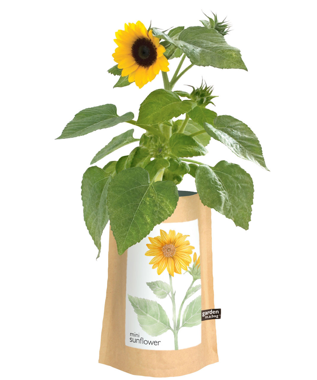 Gardeninabag Sunflower Potting Shed Creations, LTD