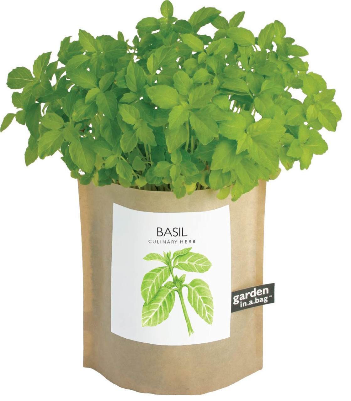 Garden in a bag Basil Potting Shed Creations LTD