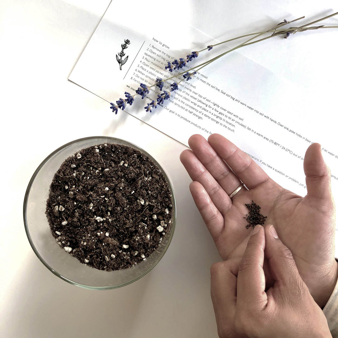 Lavender Flower Essential Garden - Thumbnail 4