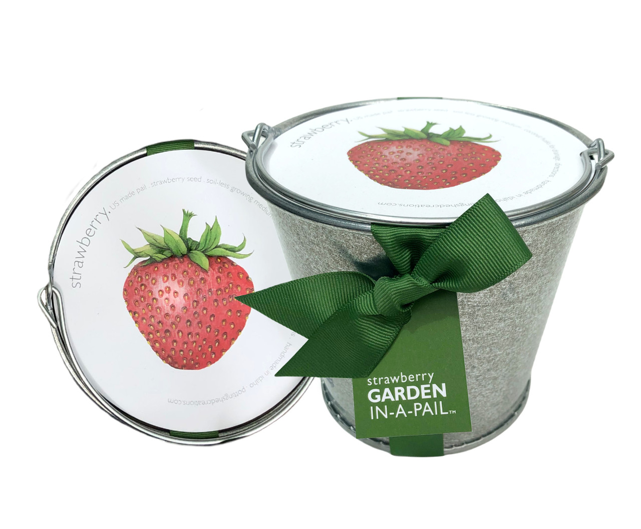 Garden-in-a-Pail Strawberry - Potting Shed Creations, LTD