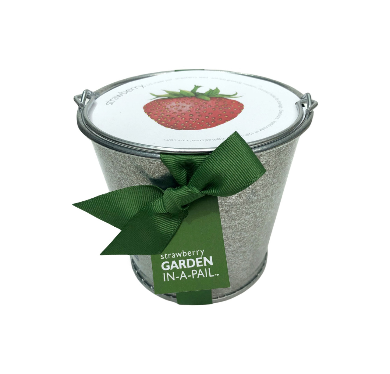 Garden-in-a-Pail Strawberry - Potting Shed Creations, LTD