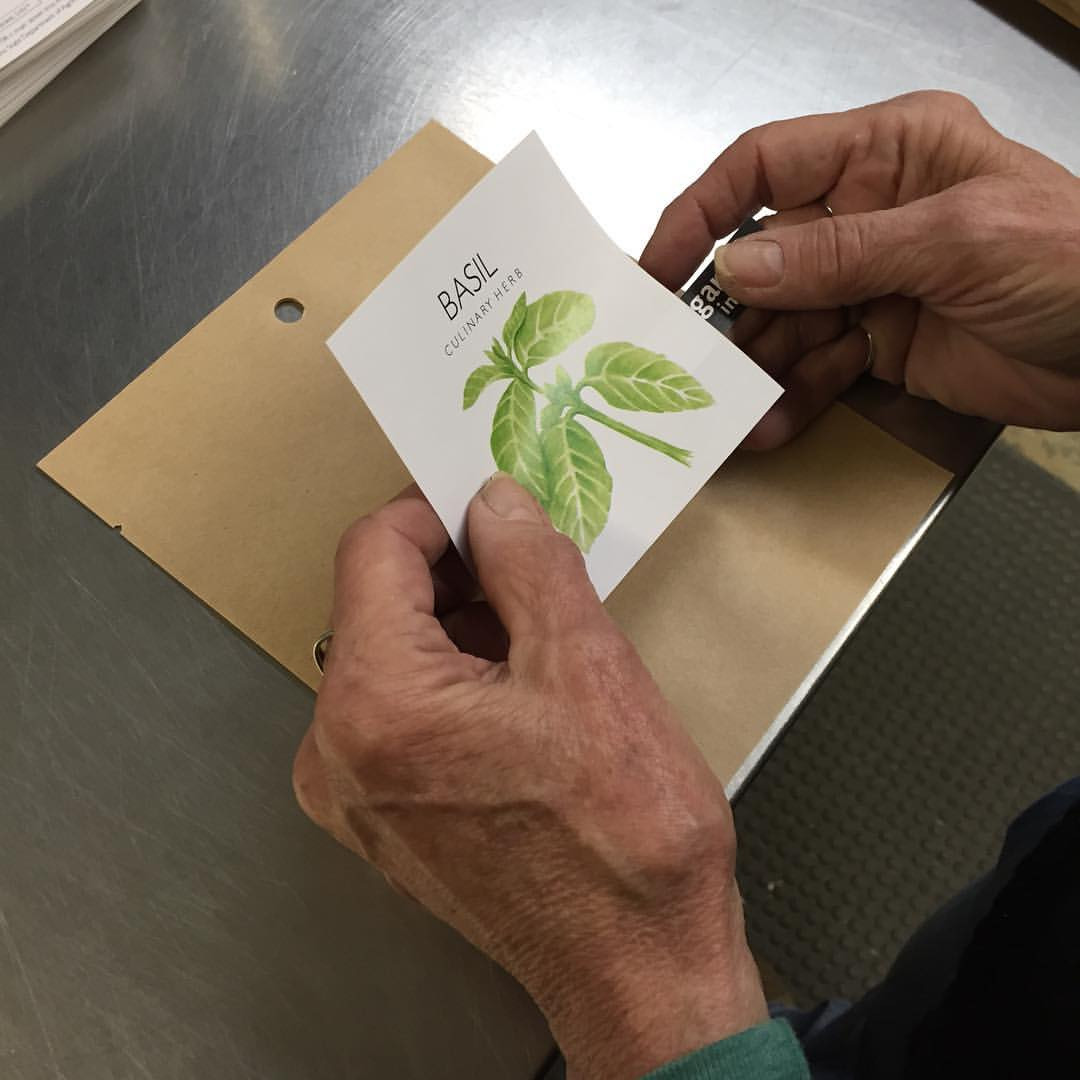 Gardeninabag Basil Potting Shed Creations, LTD