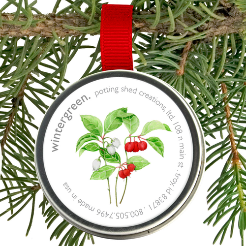Holiday Ornament Wintergreen