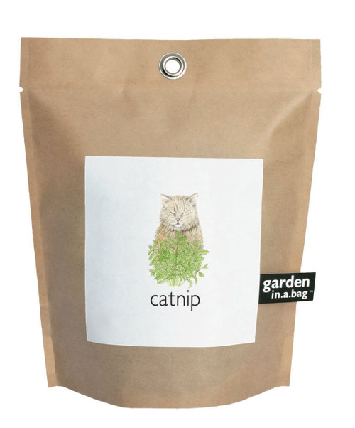 Garden-in-a-bag Catnip