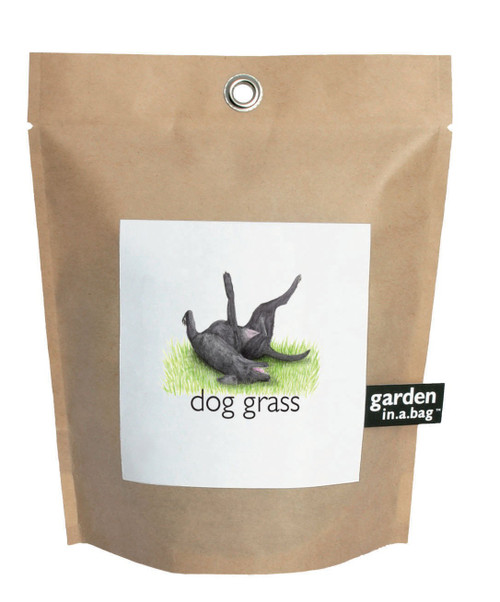 Garden-in-a-bag Dog Grass