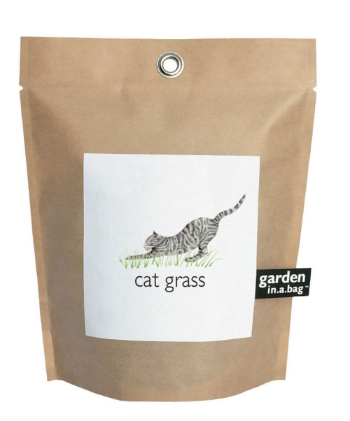 Garden-in-a-bag Cat Grass