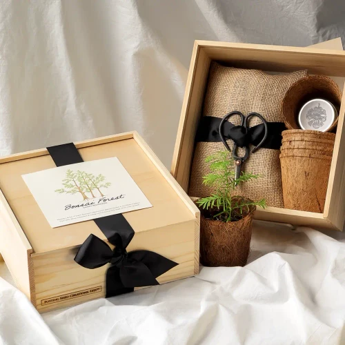 NEW Bonsai Forest Box | Fall & Christmas Gift  