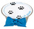 Pet Bowl Cat Grass