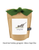 Garden-in-a-bag Cat Grass