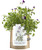 Kids Garden-in-a-bag Viola