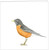 Robin Note Card