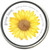 Garden Sprinkles Grow Love Sunflower