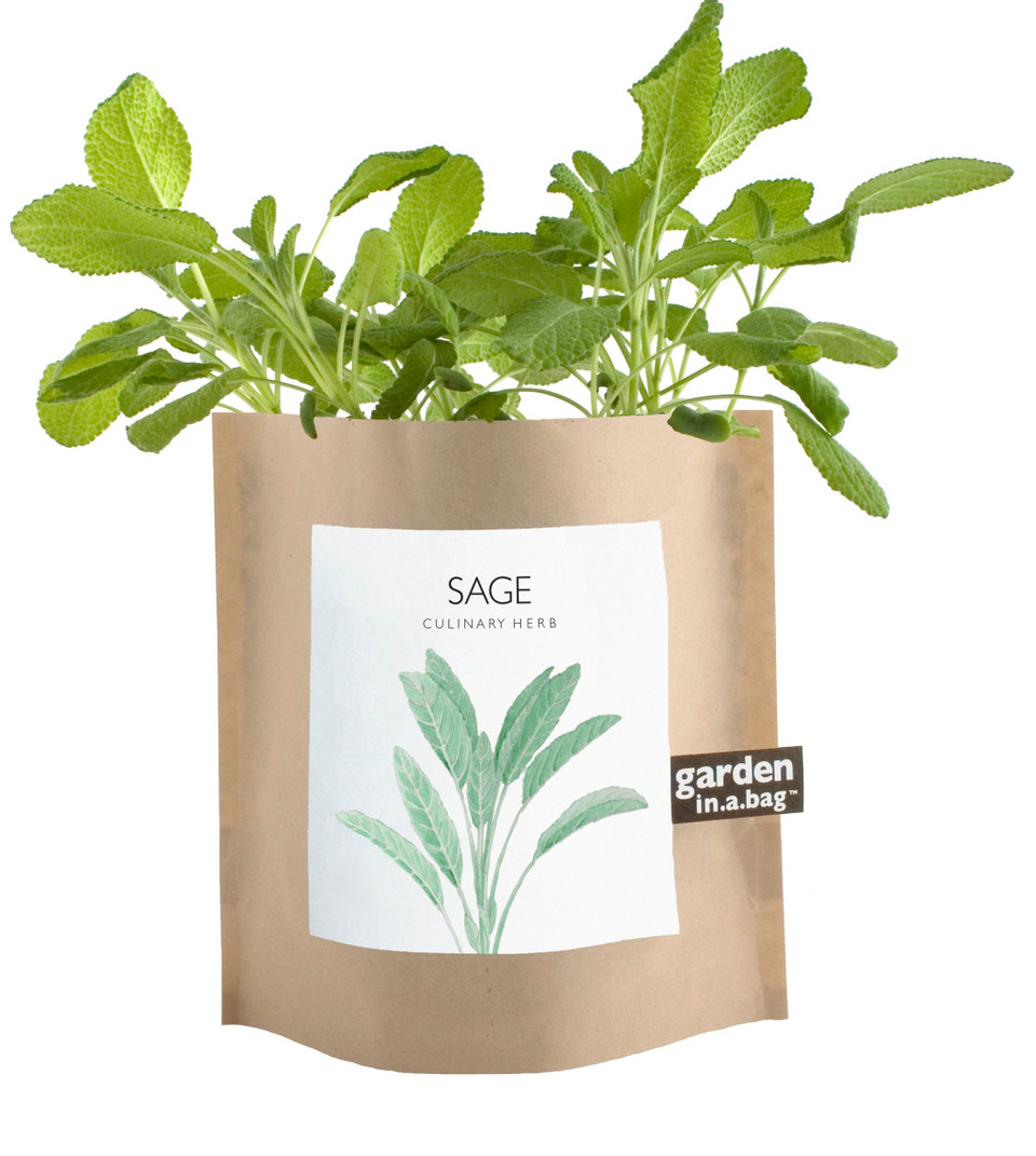 Gardeninabag Sage Potting Shed Creations, LTD