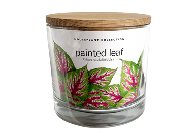 NEW | Houseplant Collection | Painted Leaf - Potting Shed