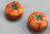 ANDREA SADEK Red Tomato Salt and Pepper Shaker NEW in Box #61313