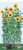 Cat's Meow Village Keepsake Sunflowers Flowers Accessory #15-101