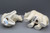 Pacific Giftware Polar Bear Ceramic Magnetized Salt & Pepper Shakers Set #11302
