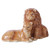 Pacific Giftware African Ceramic Lions Magnatized Salt & Pepper Shaker Set #11303