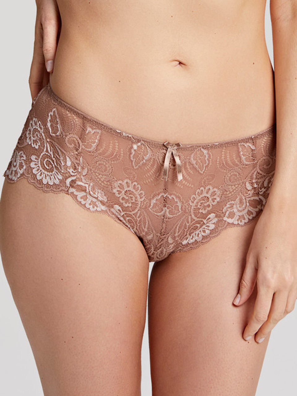 Panache Serene Brief Panty 10302 Cornflower – Petticoat Fair Austin