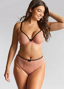 Panache Gabrielle High Waist Brazillian Panty, 11312 - front view in Flocked  Spot.