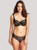  Panache Clara Bikini Panty in Olive/Black