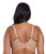 back view in Sahara.