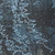close-up in Smokey Mountains Print.