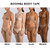 Pick your Shade Chart.