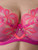 close-up in Cyclamen.