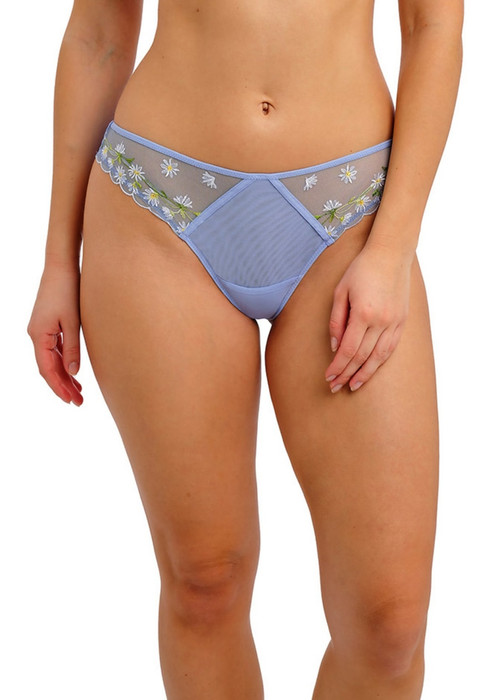 Freya Entwined Brief Panty, AA403850 - front view in Daisy.