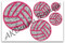 All 5 volleyballs included in this set.
