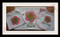Stitched Sample - NO FONTS or LETTERS are included in this set.