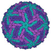 Dengue Virus Serotype 3 NS1 Protein (HEK293)