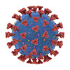 Human Coronavirus OC43 Spike Glycoprotein (Full-Length), Sheep Fc-Tag (HEK293)