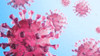 Influenza A [A/Hong Kong/45/2019 (H3N2) ] Neuraminidase (NA), His-Tag