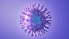 Influenza A H3N2 [A/Hong Kong/8/68] Viral Lysate