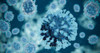 Influenza B [B/Victoria/35/2013] Neuraminidase (NA), His-Tag