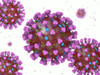 Influenza B [B/Washington/02/2019 (B/Victoria lineage) -like virus] Hemagglutinin (HA), His-Tag