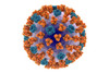 Lassa Fever Virus GP1 Protein, Human Fc-Tag