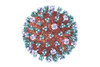Lassa Fever Virus GP1 Protein, Mouse Fc-Tag