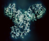 Mouse Anti-Ebola Virus envelope glycoprotein GP (Zaire) (M921)