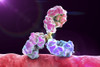 Mouse Anti-Enterovirus 70 Antibody (3651)