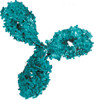 Mouse Anti-Powassan Virus NS1 Antibody (M956)