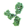 Mouse anti-Tetanus toxin antibody (TetE3)