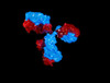 Mouse Anti-Zika Virus NS1 Antibody (B4)