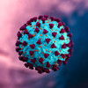 SARS-CoV-2 (D614G Mutant) Spike Glycoprotein (S1), Sheep Fc-Tag (HEK293)