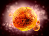 Yellow Fever Virus NS1 Protein