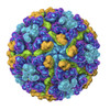 Chikungunya Virus E2 Envelope Protein (HEK293), Mouse Fc-Tag