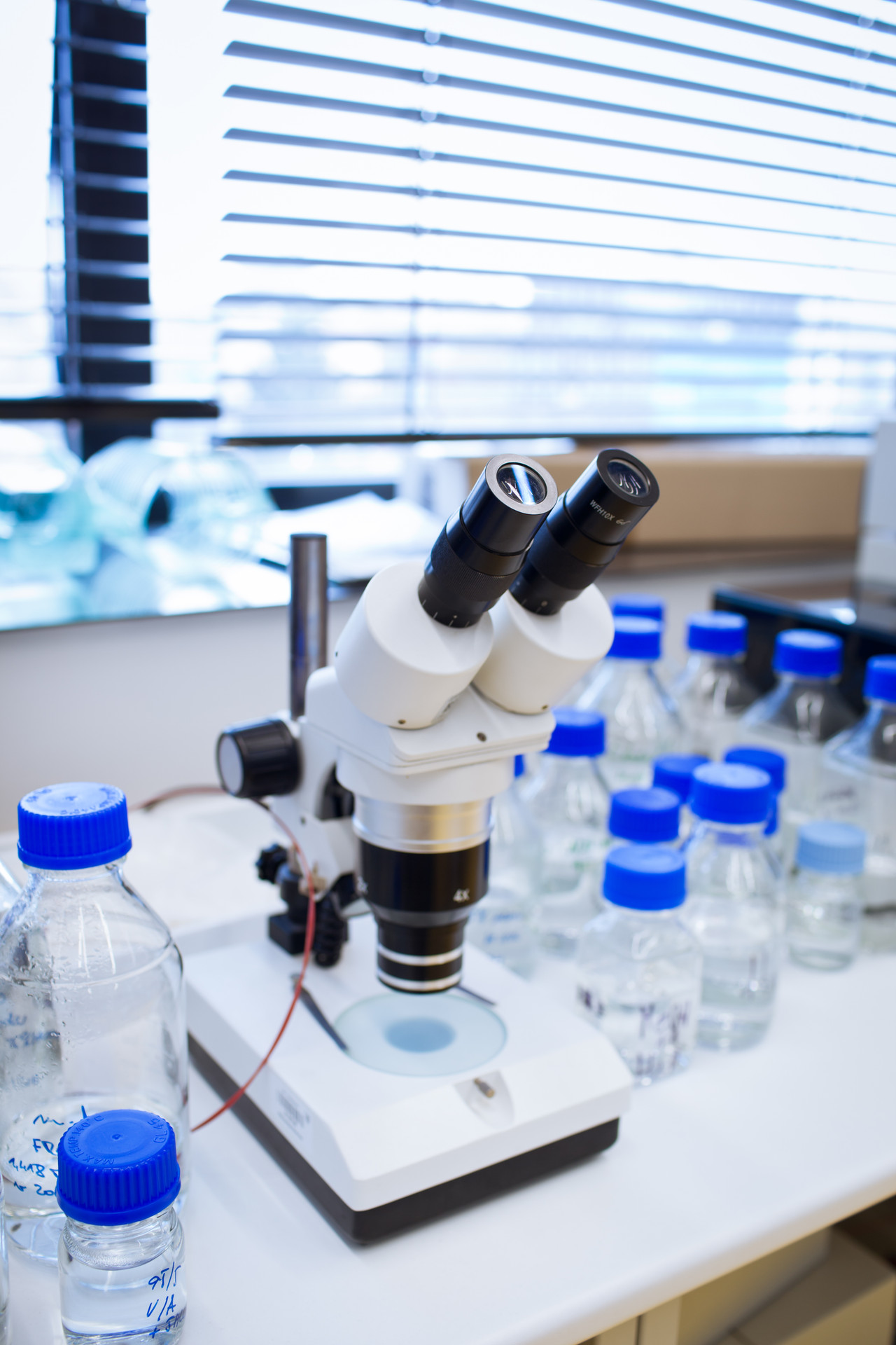 Anti-human protein Anti-human protein
